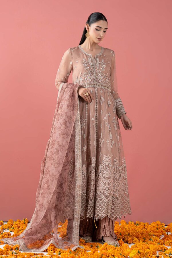 Organza Embroidered
