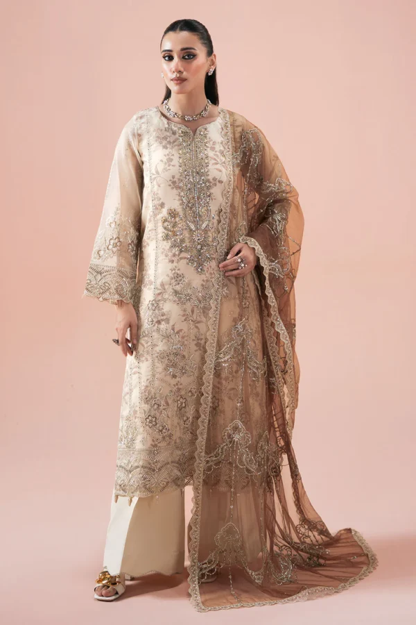 Organza Embroidered Dresses