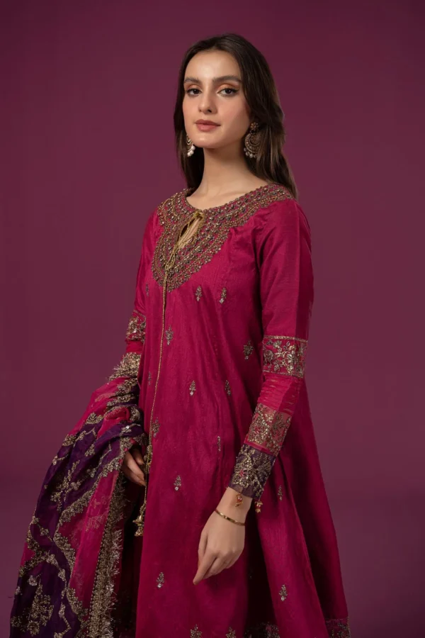 Raw silk Salwar Kameez